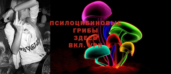 ГАЛЛЮЦИНОГЕННЫЕ ГРИБЫ Россошь