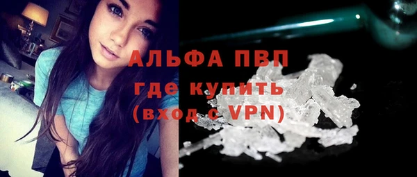 сатива Рославль