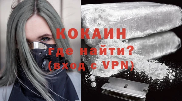 сатива Рославль