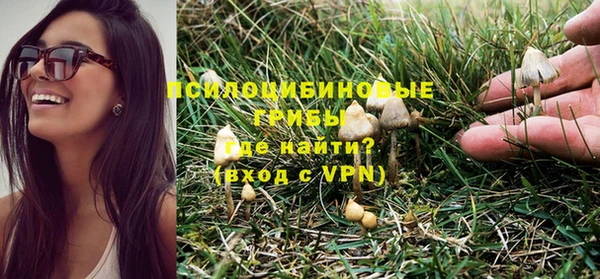 сатива Рославль