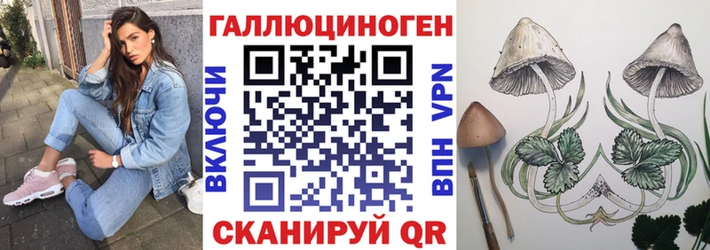 Купить закладки  Тимашёвск  Галлюциногенные грибы Magic Shrooms 